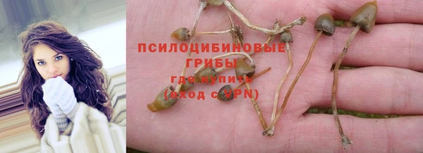 PSILOCYBIN Заволжск
