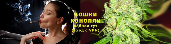 PSILOCYBIN Заволжск