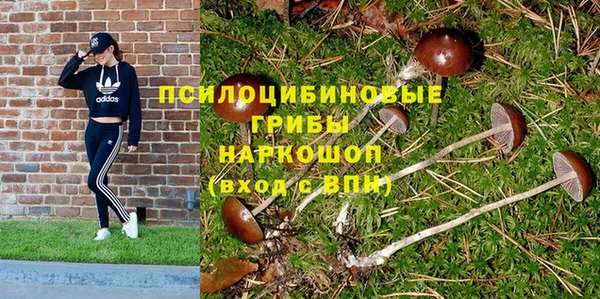 герыч Ряжск
