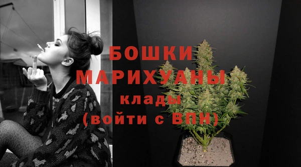 PSILOCYBIN Заволжск