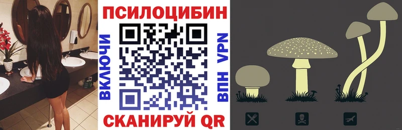 что такое   Канск  Галлюциногенные грибы Psilocybine cubensis 