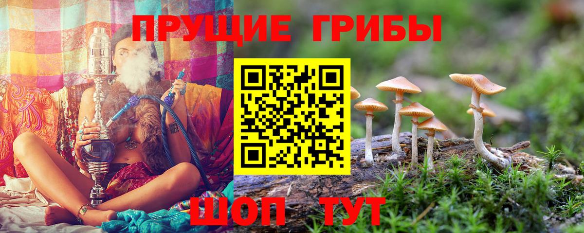 Псилоцибиновые грибы MAGIC MUSHROOMS  Вход с VPN  Канск  даркнет сайт  Галлюциногенные грибы мухоморы 